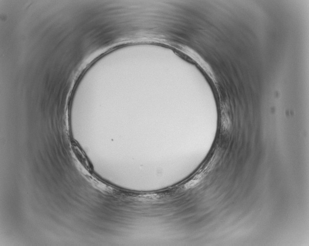 X0000070381388200607072143