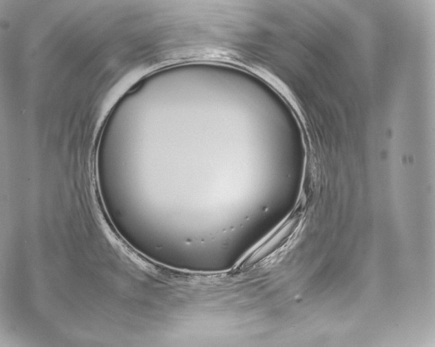 X0000070381389200607072143