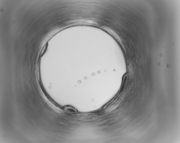 X0000070381391200607072143