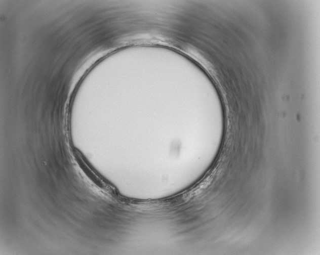 X0000070381392200607072143