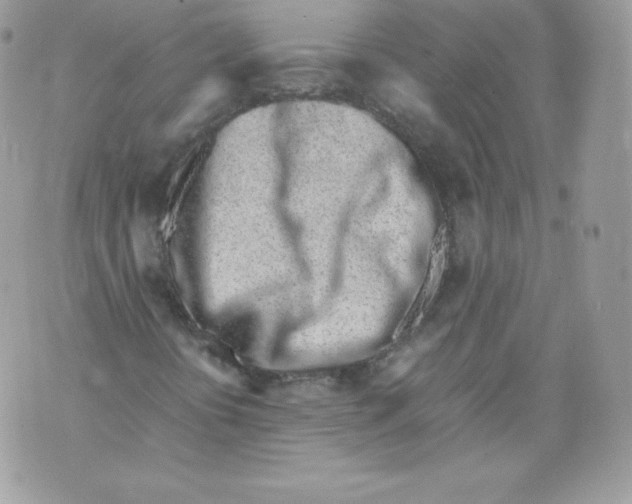 X0000070381394200607072142