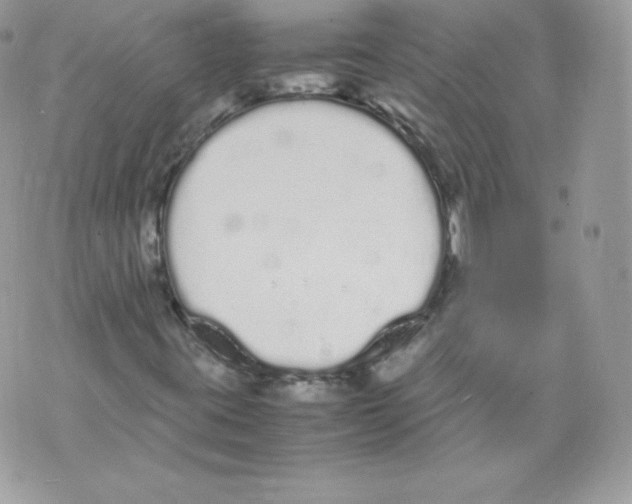 X0000070381395200607072142