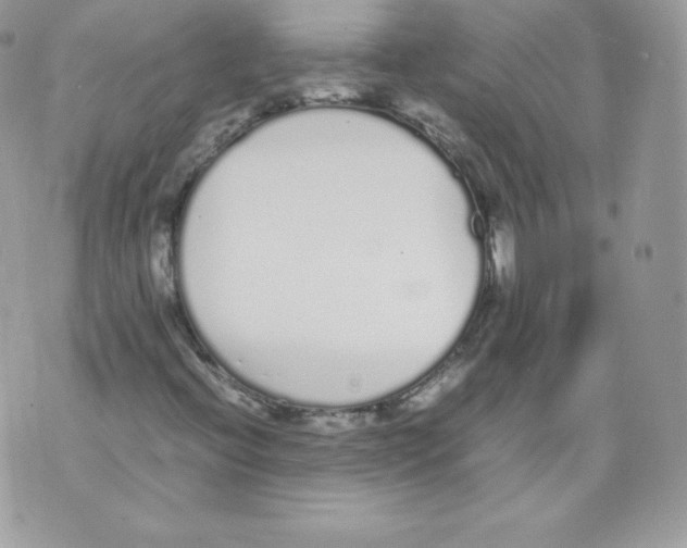 X0000070381396200607072142