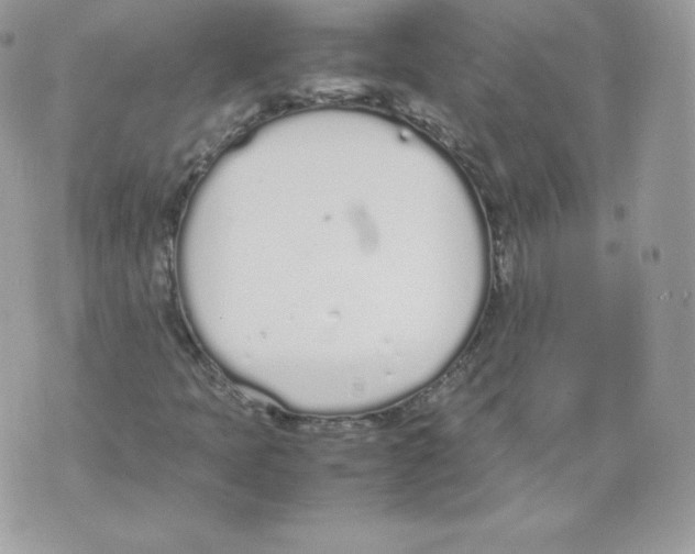 X0000070381397200607072142