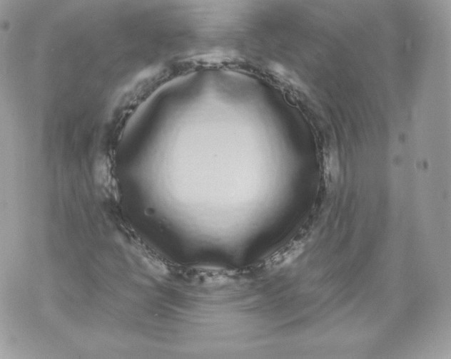 X0000070381398200607072142