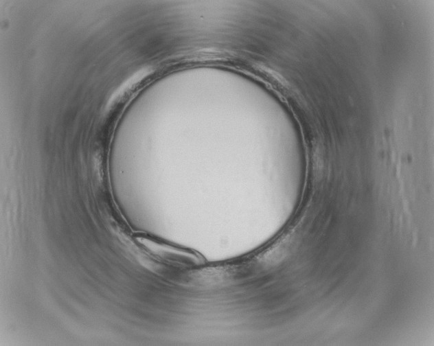 X0000070381402200607072142