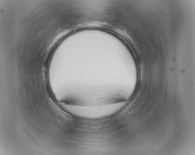 X0000070381404200607072142