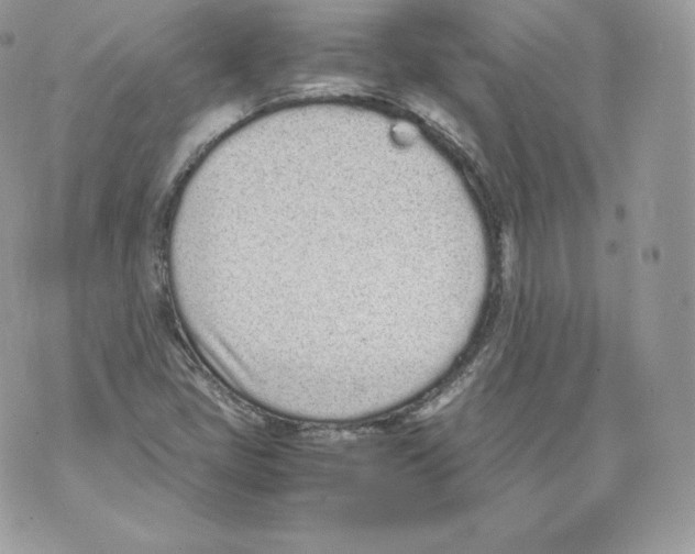 X0000070381405200607072142