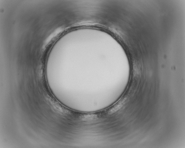 X0000070381406200607072142