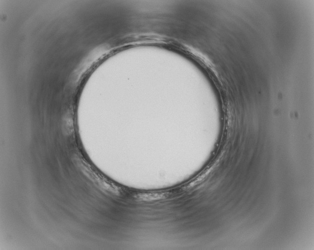 X0000070381407200607072142