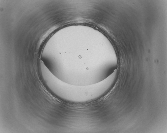 X0000070381410200607072142