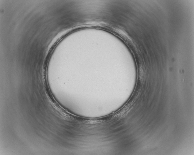 X0000070381412200607072142