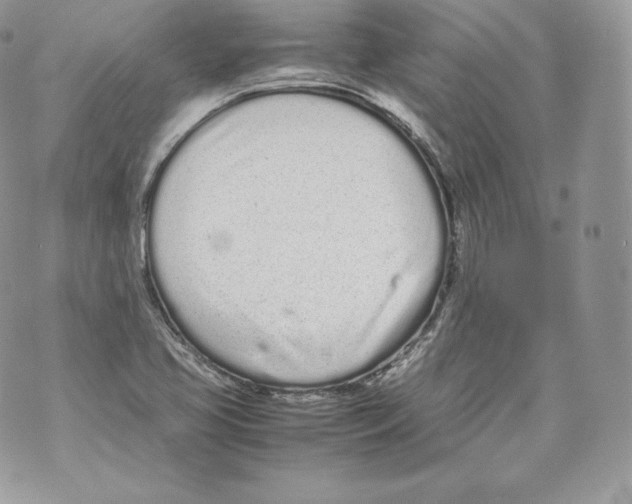 X0000070381413200607072142