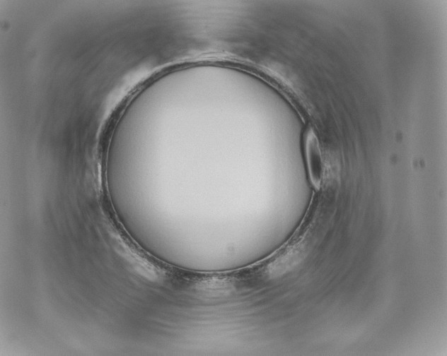 X0000070381414200607072142