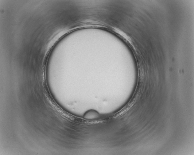 X0000070381415200607072142