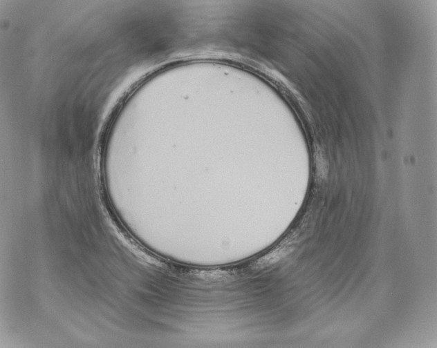 X0000070381416200607072142