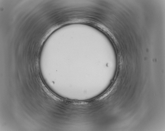 X0000070381417200607072142