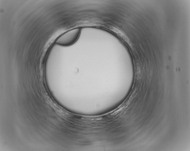 X0000070381419200607072142