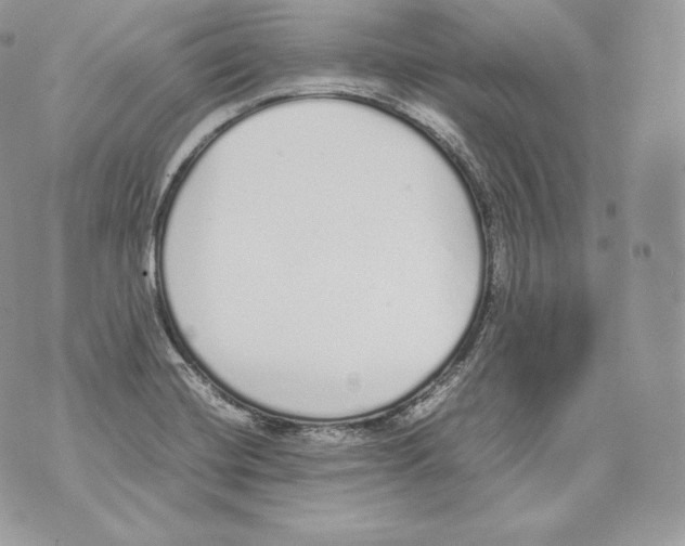 X0000070381420200607072142