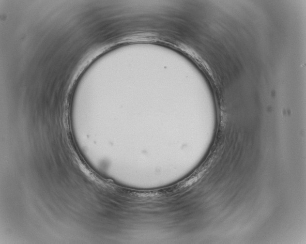 X0000070381421200607072143