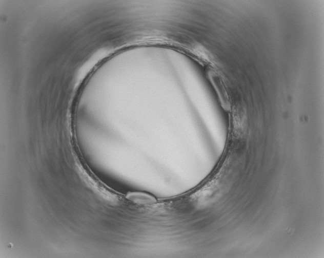 X0000070381422200607072143