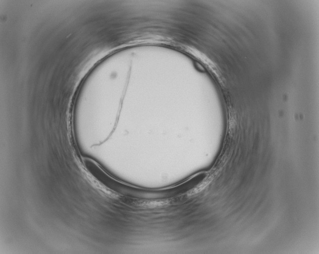 X0000070381423200607072143