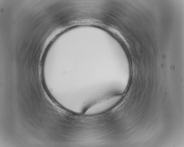 X0000070381424200607072143