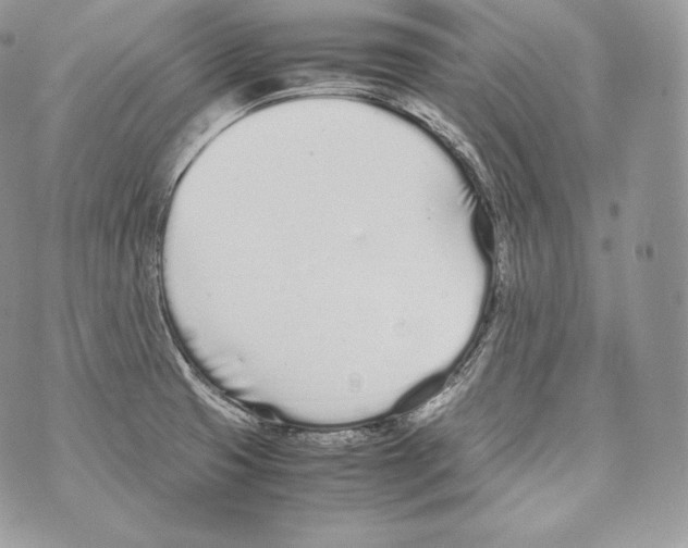 X0000070381425200607072143