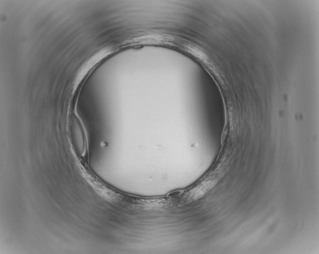 X0000070381426200607072143