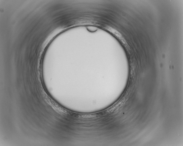 X0000070381427200607072143