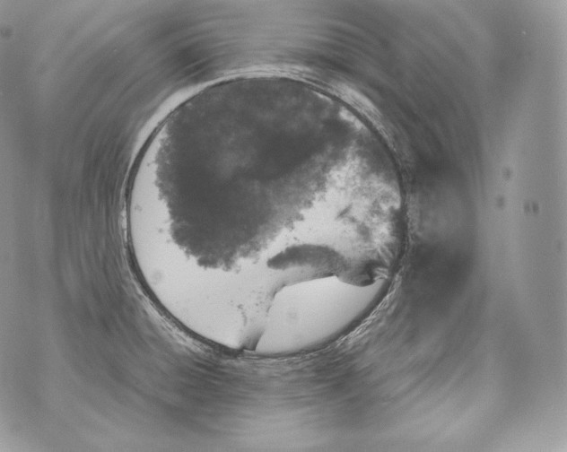 X0000070381428200607072143