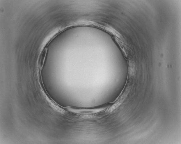 X0000070381430200607072143