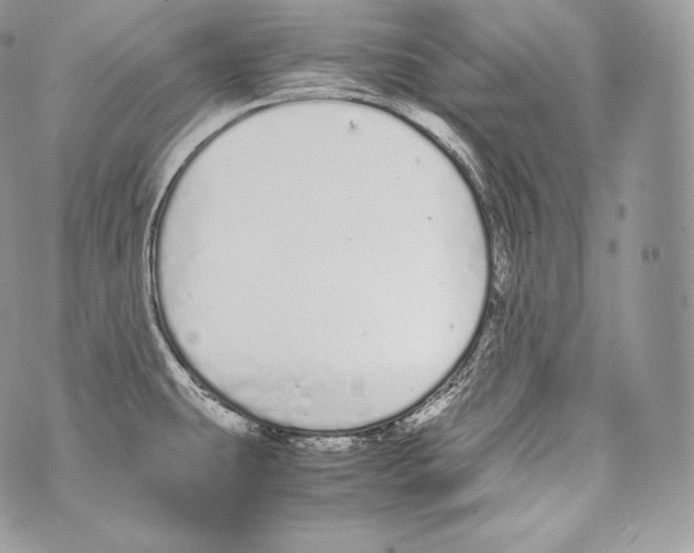 X0000070381431200607072143