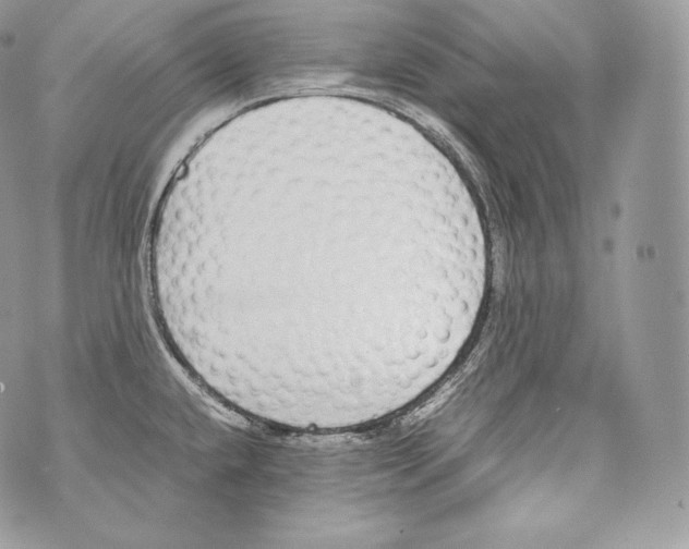 X0000070381432200607072143