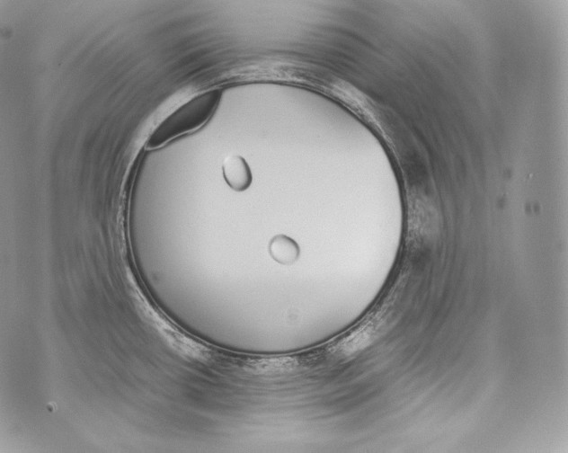 X0000070381434200607072143