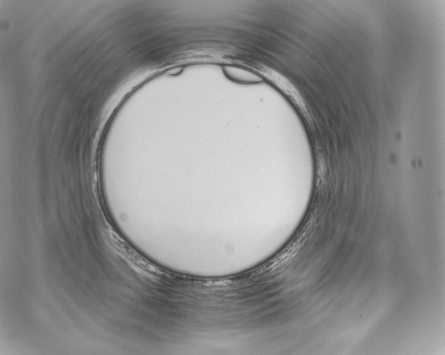 X0000070381435200607072143