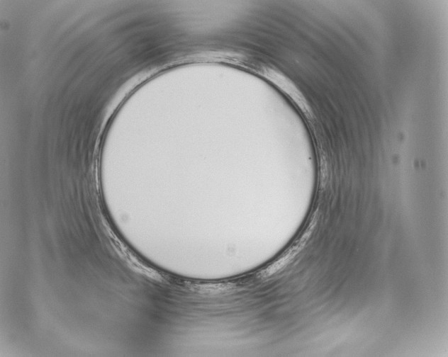 X0000070381436200607072143