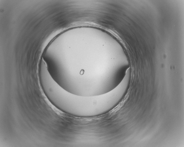 X0000070381438200607072143