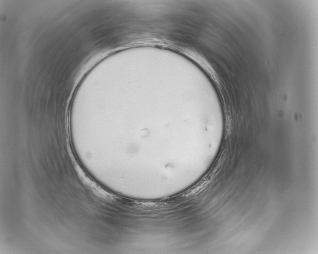 X0000070381439200607072143