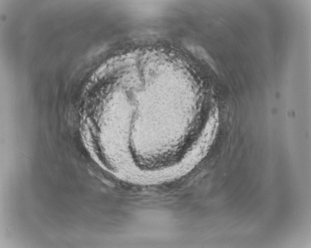 X0000070381445200607072142