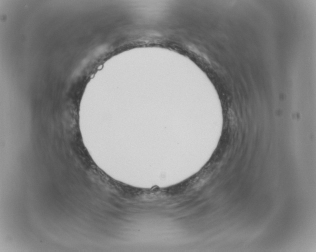 X0000070381447200607072142