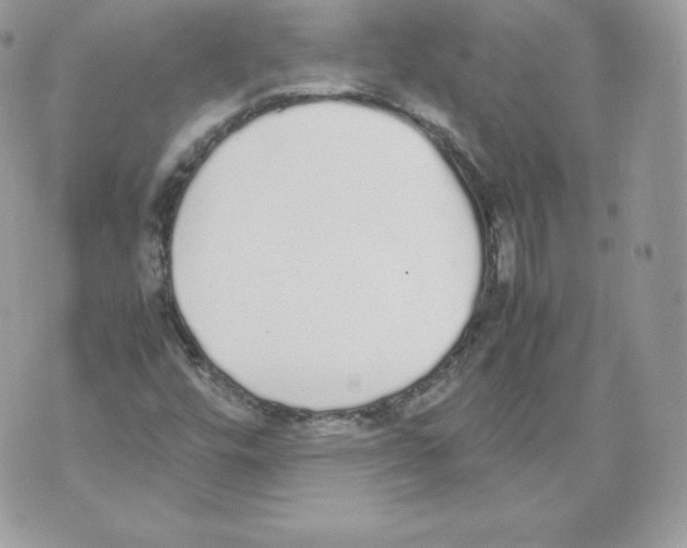 X0000070381448200607072142