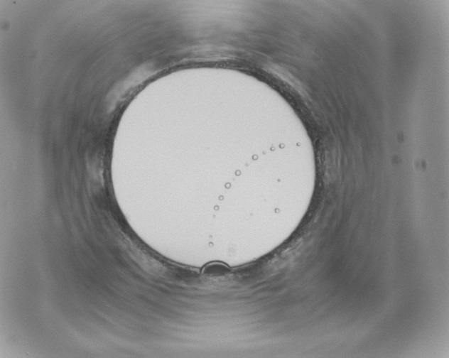 X0000070381451200607072142