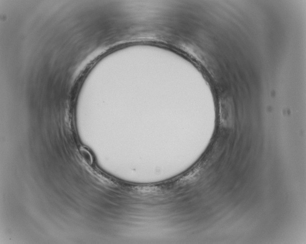 X0000070381452200607072142