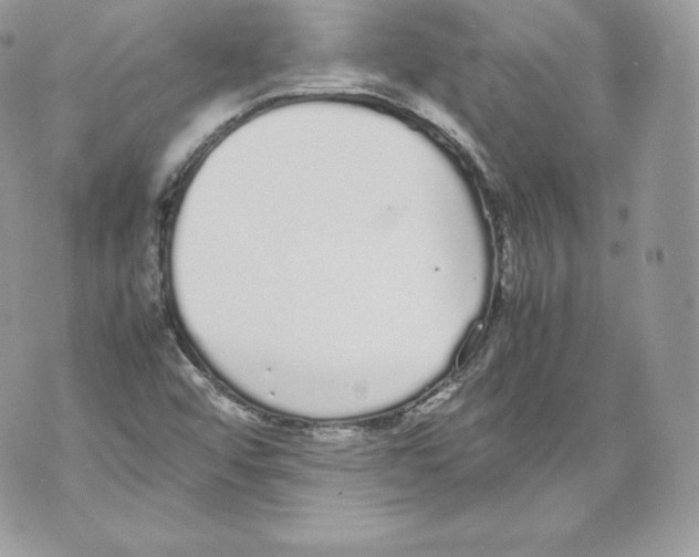 X0000070381456200607072142