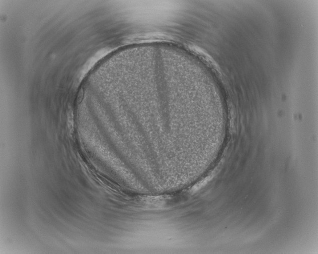 X0000070381457200607072142