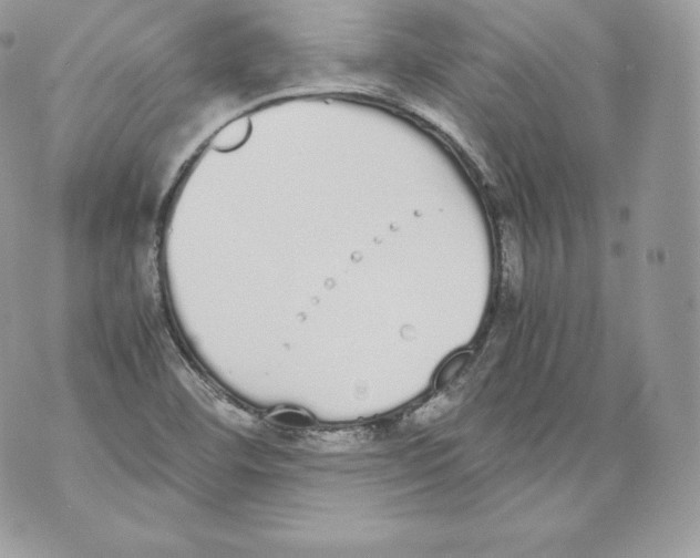 X0000070381460200607072142