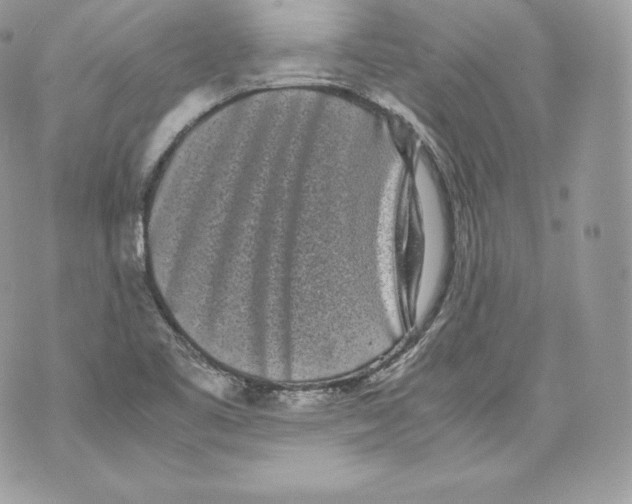 X0000070381461200607072142