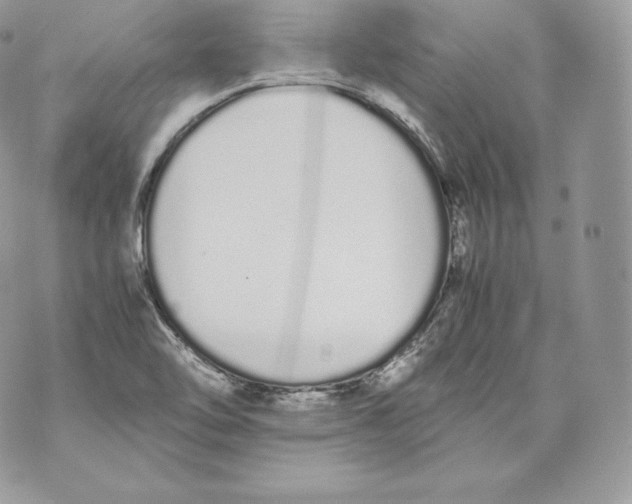 X0000070381462200607072142