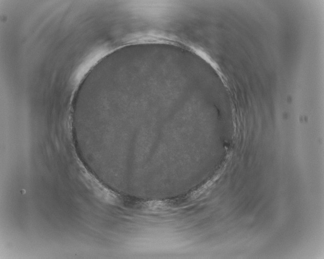 X0000070381463200607072142